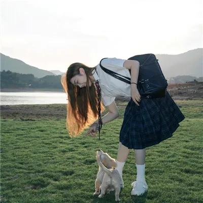 青苔花开
